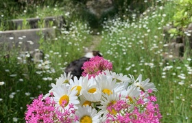 December - Journal Entries