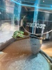 Our freaky frog