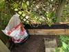 We demolished our front planters… a bit sad. Managed to save most of the plants and are reusing the soil.
