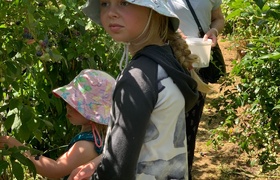 January - Journal Entries