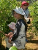 Blueberry fields forever picking! 4kg! $22kg!
