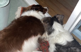 January - Journal Entries