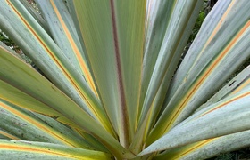 May - Journal Entries