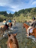 We did a horse trek in the river! Tom, olive and juni’s first time on a horse too. They smell so lovely.