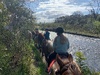 We did a horse trek in the river! Tom, olive and juni’s first time on a horse too. They smell so lovely.