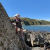 Makara beach foraging for driftwood handrails and shells, beautiful day for it. Zorro found a flounder and some cool snails