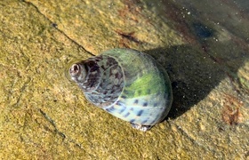 April - Journal Entries