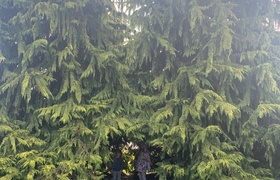 August - Journal Entries