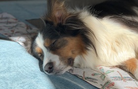 August - Journal Entries