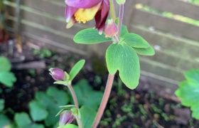 December - Journal Entries