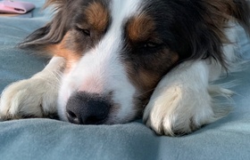 December - Journal Entries