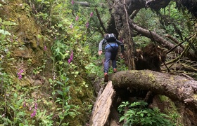 December - Journal Entries