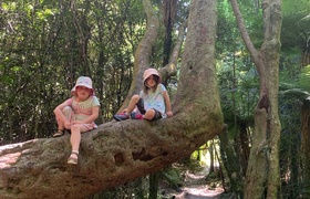 February - Journal Entries