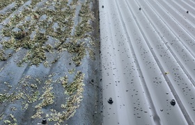January - Journal Entries