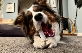 July - Journal Entries