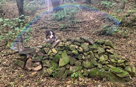 November - Journal Entries