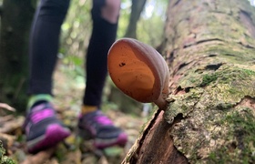 October - Journal Entries