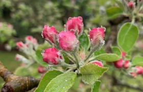 October - Journal Entries