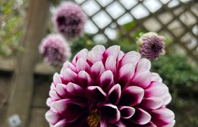 April - Journal Entries