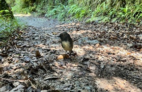 April - Journal Entries