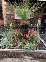 Queen Victoria market for yummy food, followed by the state library which was stunning.