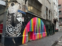 Free tram on the old city circle lady.