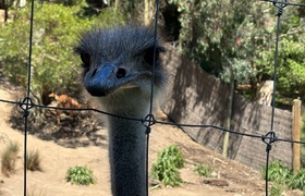 January - Journal Entries