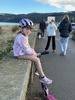 A lovely walk promenading along petone shoreline with the wheelies