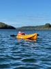 Kayaking on lake Rotoiti. Olive got the hang of it pretty quick and daddy slept while Iris paddled.