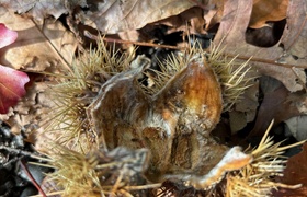 May - Journal Entries