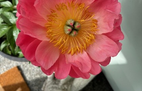 November - Journal Entries