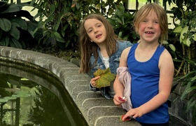 November - Journal Entries