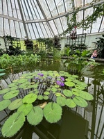 A cheeky visit to ceramicos exhibition and pottery market. Girls had fun collecting the fallen petals around the gardens and we did some pond research.