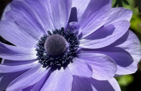 October - Journal Entries