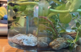 October - Journal Entries