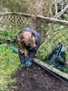 Pancakes for brunch, weeding the vegetables patch, making new friends and finding a really old bottle! Tom made a new home for the compost bin too.