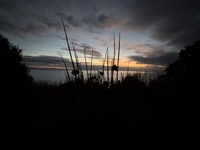 Day three: Hump ridge, 21km a washed out bridge, beautiful beaches with holy rocks and we looped back to our he start of the track. Amazing walk. Keas, dolphins, amazing moss, holy rocks, sausages & mash… the list goes on…