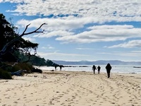 Day three: Hump ridge, 21km a washed out bridge, beautiful beaches with holy rocks and we looped back to our he start of the track. Amazing walk. Keas, dolphins, amazing moss, holy rocks, sausages & mash… the list goes on…