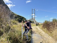 Day three: Hump ridge, 21km a washed out bridge, beautiful beaches with holy rocks and we looped back to our he start of the track. Amazing walk. Keas, dolphins, amazing moss, holy rocks, sausages & mash… the list goes on…