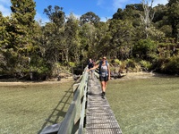 Day four: Stewart island - Rakiora Back to back walks, we caught a pukey ferry to Stewart island, had the best fish and chips at the pub with Trish and Alan and then started the tramp. So warm and easy walk to port William. Let the kiwi search begin…