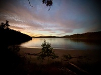 Day four: Stewart island - Rakiora Back to back walks, we caught a pukey ferry to Stewart island, had the best fish and chips at the pub with Trish and Alan and then started the tramp. So warm and easy walk to port William. Let the kiwi search begin…