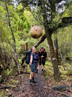 Day five: Rakiora’s mud mile… wasn’t too bad. Got to northern arm hut early afternoon in time for a quick dip and snooze. Enjoyed the last of the red wine too
