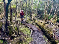 Day five: Rakiora’s mud mile… wasn’t too bad. Got to northern arm hut early afternoon in time for a quick dip and snooze. Enjoyed the last of the red wine too