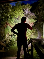 Day six: last day of the Rakiora walk so we got up super early (left by 7am) in the hopes of seeing kiwi! And we weren’t disappointed. Three!!! One teenager and two huge adults. Just magical. A drink and oysters in bluff