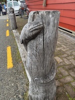 Day six: last day of the Rakiora walk so we got up super early (left by 7am) in the hopes of seeing kiwi! And we weren’t disappointed. Three!!! One teenager and two huge adults. Just magical. A drink and oysters in bluff