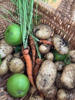 Nice being back home with all of my babies