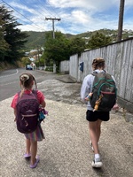 Crazy hair day at school