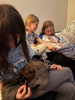 Guinea love. Looking after loaf and muffin.