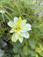 The summer that never ends…