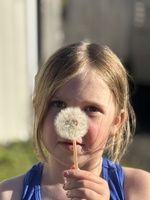 The summer that never ends…